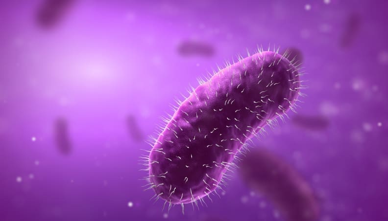 Shutterstock 42546322 Scaled 792x452