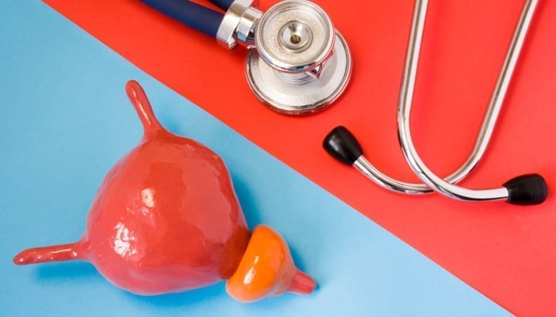 Shutterstock 755039800 Scaled 792x452