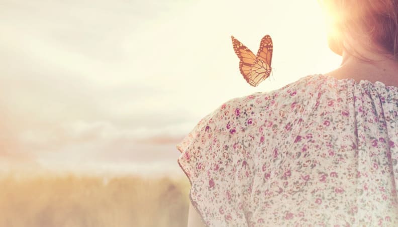 Shutterstock 1095091028 1 Scaled 792x452