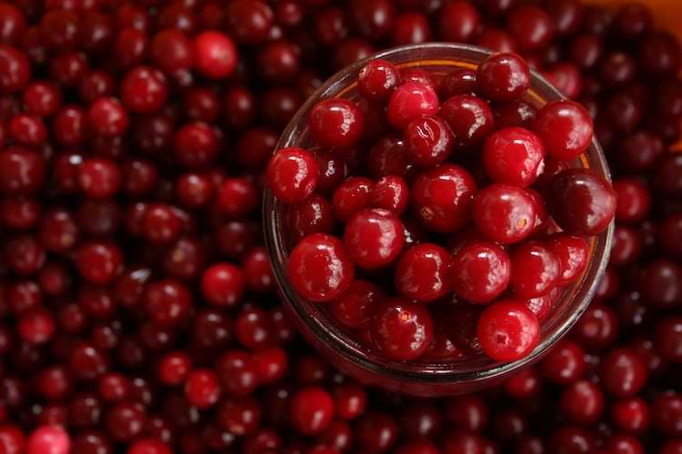 succo di mirtillo per la cistite | Dimann