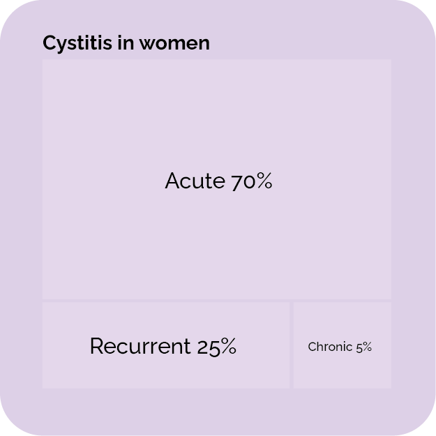 Graphic representation of the cystitis forms in women